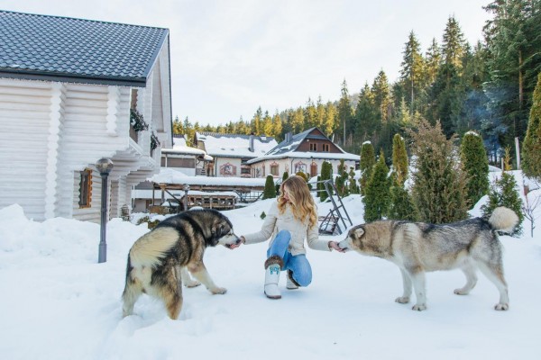 Готель Ведмежий Двір