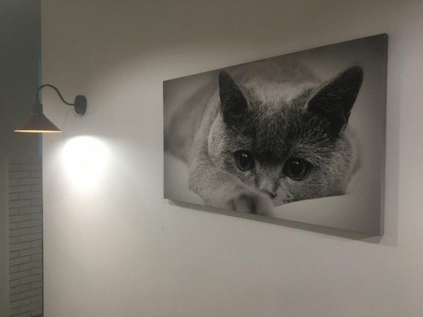 Comfort place in the city centre