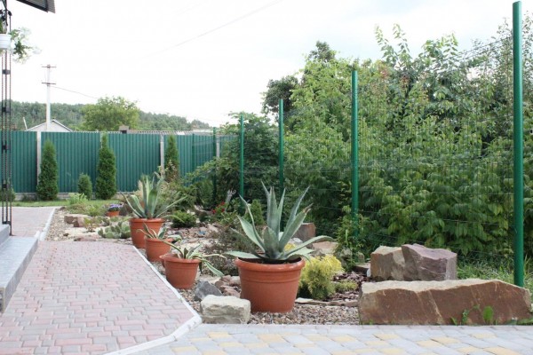 Хостел і гостьовий будинок Sweet Home розташований у місті Чернівці. До послуг гостей бар, загальний лаундж, сад і безкоштовни