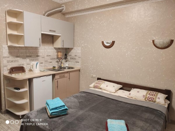 F /A Апартаменты Домовик Солнечное Закарпатье