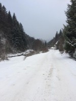 Гостевой дом Садиба