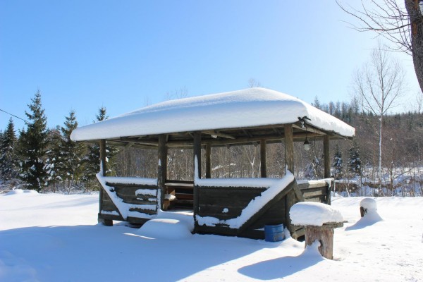 Отель типа «постель и завтрак» База відпочинку Рись