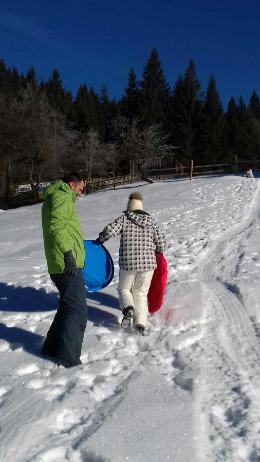 Гостевой дом Sadyba u Anastasijky