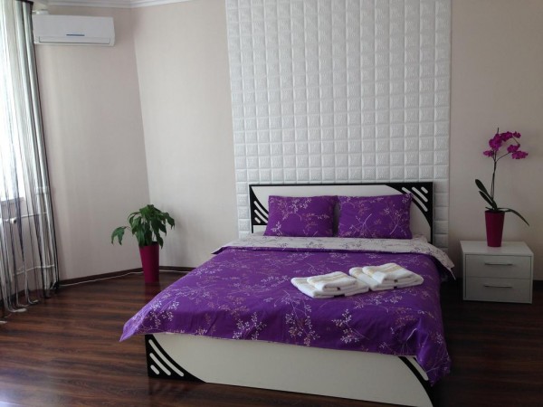 Apartment near Osokorki