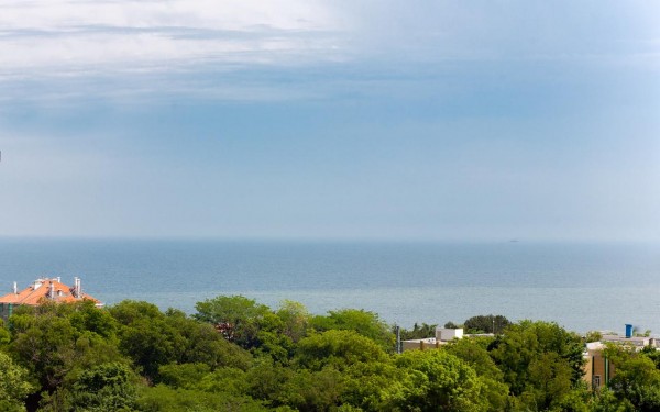 Apartments ARCADIA BEACH