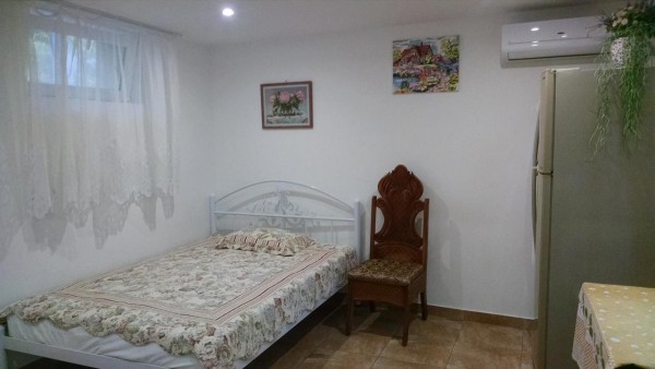 E F Mini-dacha on Frantsuzsky Bulvar