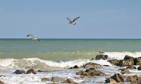 Новая Кирилловка