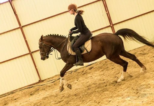 Конные клубы